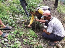 वृक्षारोपण चितवन जिल्ला