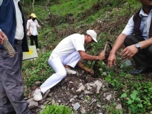 वृक्षारोपण चितवन जिल्ला